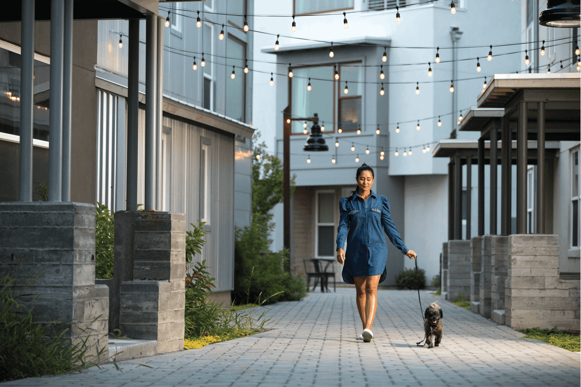 The Pennant- Woman walking her dog in between apartment buildings