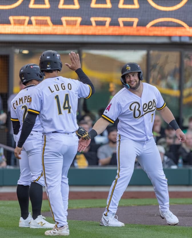 Bees Players